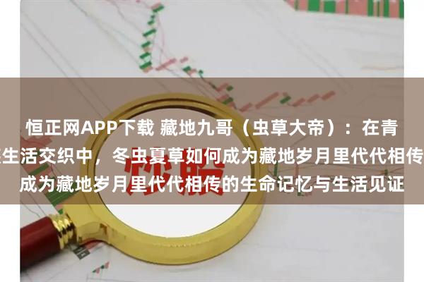 恒正网APP下载 藏地九哥（虫草大帝）：在青藏高原四季轮回与家族生活交织中，冬虫夏草如何成为藏地岁月里代代相传的生命记忆与生活见证