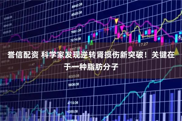 誉信配资 科学家发现逆转肾损伤新突破！关键在于一种脂肪分子